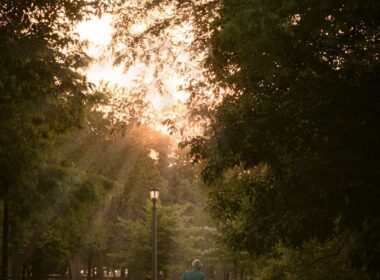 Personas caminando juntas por un sendero en un parque verde, luz de mañana
